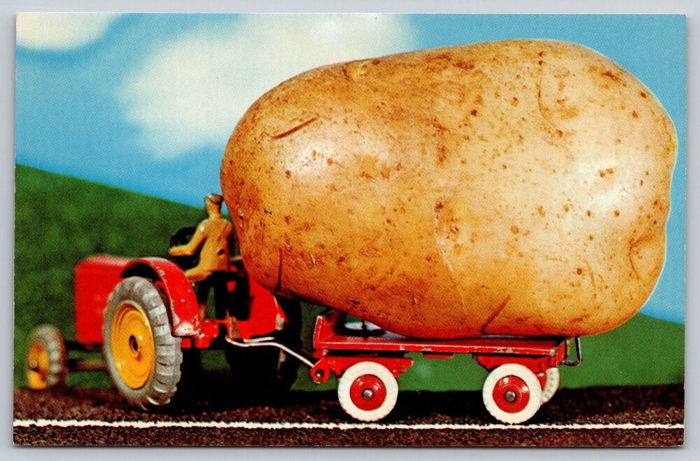 Postcard They Sure Grow 'EM Big Here Vintage c1960s Potato Tractor Farmer